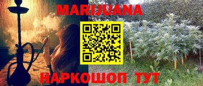 шишки Коммунар