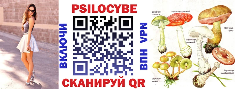 где купить наркоту  Казань  дарк нет состав  Галлюциногенные грибы мухоморы 