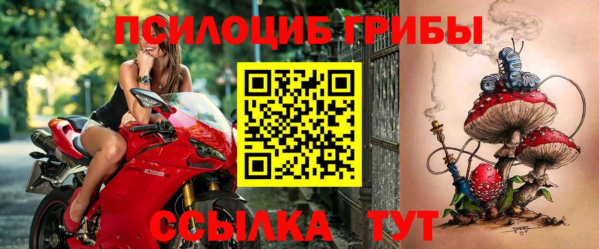 цены наркотик  Вход с VPN  Казань  Псилоцибиновые грибы ЛСД 